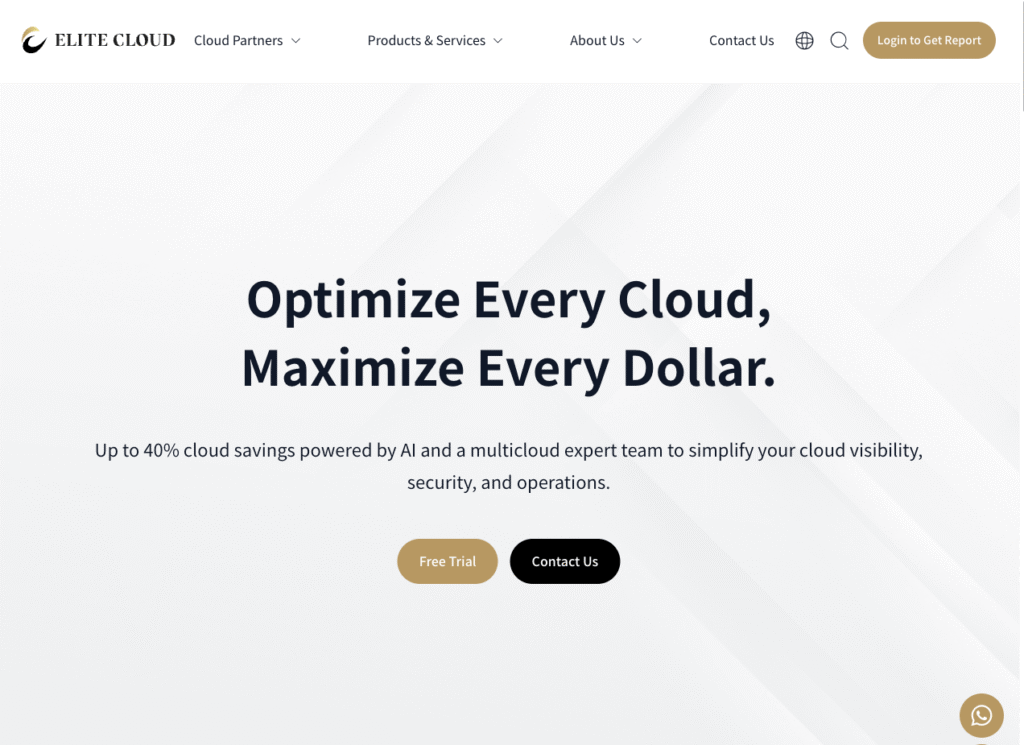 Get a free 40 Cost Saving Analysis with the Elite Cloud AI Tool image-1-1024x745 | Elite Cloud Elite Cloud Home Page