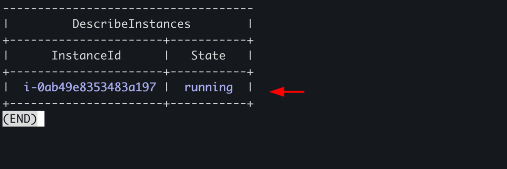 Checking Instance Satus