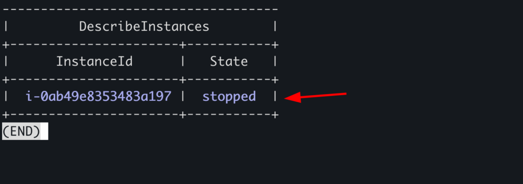 EC2 instance stopped after using the command