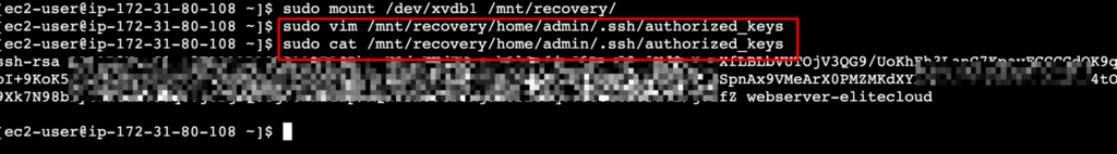 How to Change EC2 Key Pair Practical Guide elite cloud_013 | Elite Cloud Mounting and changing the public key