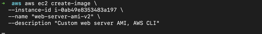 Creating AMI using AWS CLI