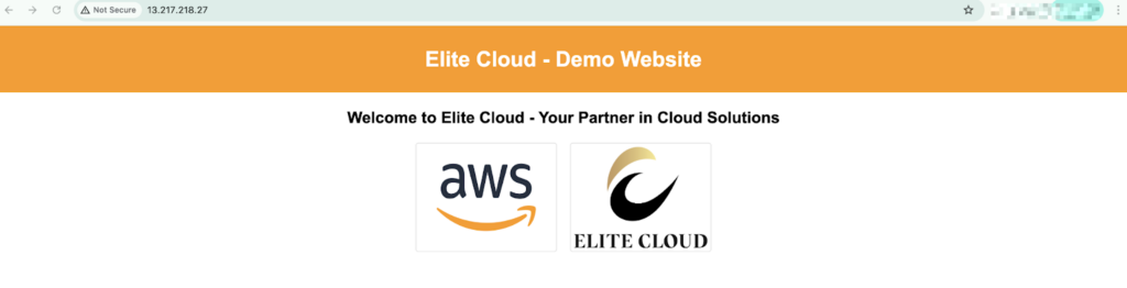 Browsing Demo website to confirm instance