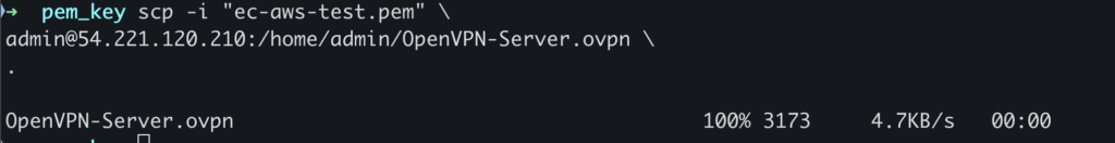 Downloading the client vpn file from server