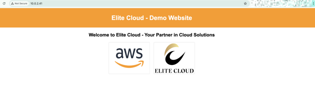 Successfully accessing website