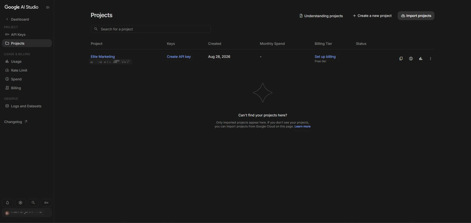 AI Studio 專案頁的 Billing Tier 欄位顯示 Set up billing,代表這個專案還在免費層